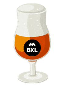 Beer Cerveza Sticker by City of Brussels