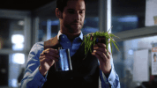lucifer plant GIF by Fox TV