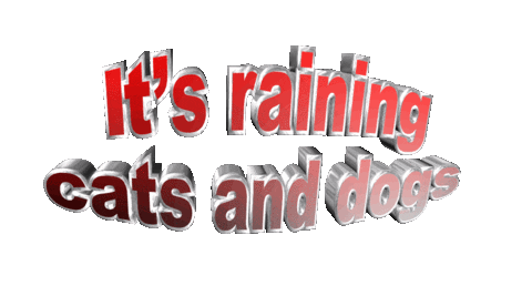 raining cats and dogs Sticker