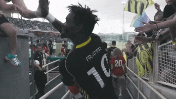 High Five Pro Soccer GIF by New Mexico United