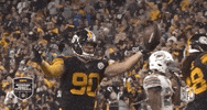 Regular Season Football GIF by NFL