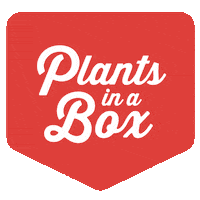 logo plant Sticker by Plants in a Box