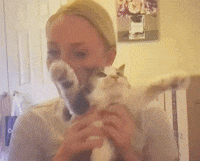 Cat GIF by Death Wish Coffee