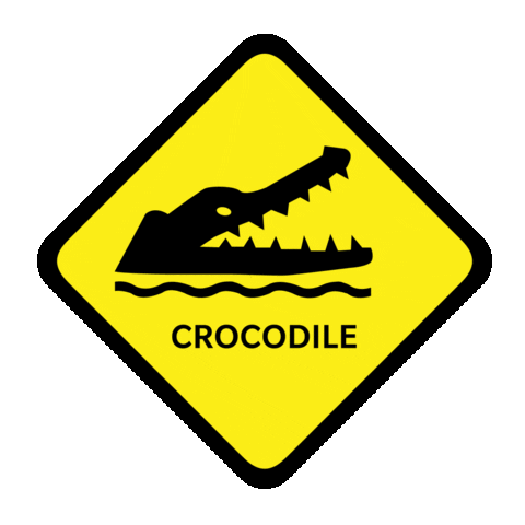 lifesavingqld giphyupload beach crocodile sls Sticker