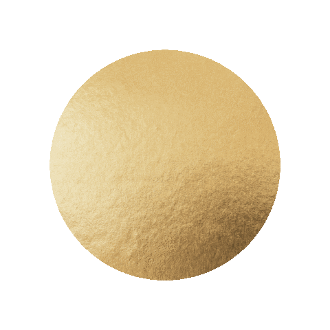 DasGerlos giphygifmaker gold gerlos dasgerlos Sticker