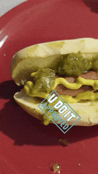 Summer Time Dog GIF by No Cheese Records