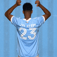 New York City Fc Reaction GIF by NYCFC