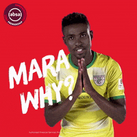 south african soccer GIF