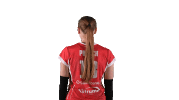 Sport Volleyball Sticker by LP Viesti