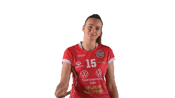 Sport Volleyball Sticker by LP Viesti