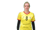 Volleyball Sticker by Draisma Dynamo