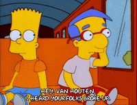 bart simpson episode 6 GIF