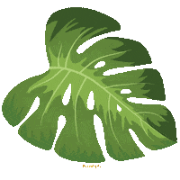 Plant Leaf Sticker by Raseel gift