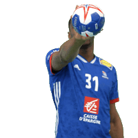 Ffhandball Dylan Nahi Sticker by Fédération Française de Handball