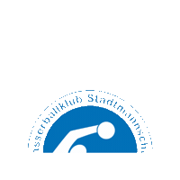 WBK_SMZ logo zurich waterpolo wasserball Sticker