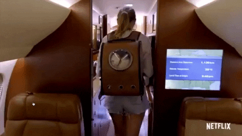 Taylor Swift GIF by Your Cat Backpack