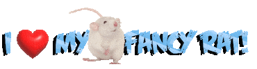 Guinea Pig Love Sticker