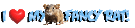 Guinea Pig Love Sticker