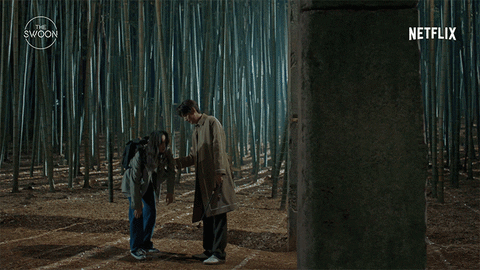 Korean Drama Netflix GIF by The Swoon
