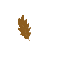 Oak Leaf Fall Sticker