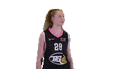 Basketball Hoops Sticker by Basket_fi