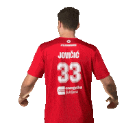 rdslovan slovenija slovan rokomet rdslovan Sticker