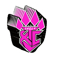 Cheerleading Sticker by XTREAM Cheer & Gymnastics