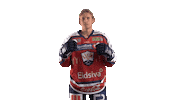 Lillehammerik hockey norway gameday icehockey Sticker