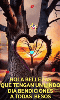 Sol Amigos GIF by Murcianys LLC