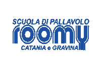 Pallavolo_Roomy sport volleyball volley pallavolo Sticker