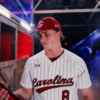 Home Run Celebration GIF by Gamecock Athletics