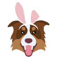 Australian Shepherd Bunny Sticker by Piper and Co.