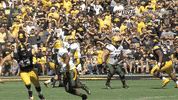north dakota state football GIF by NDSU Athletics