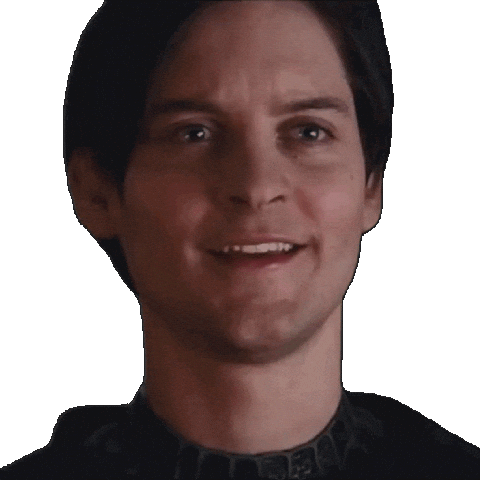 Spider-Man What Sticker