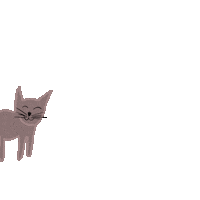 Cat Dib Sticker by Chicco