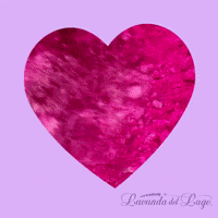 lavandadellago love lavanda happyvalentine lovebubble GIF