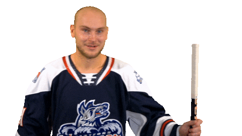 Sticker by Hartford Wolf Pack