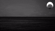 Art Film GIF by jorgemariozuleta