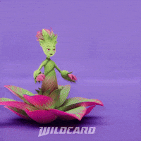 Heart Love GIF by Wildcard