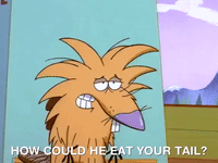 angry beavers nicksplat GIF