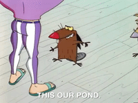 angry beavers nicksplat GIF