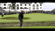 GIF by Wilson Golf