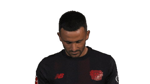 Look Up Bayer Leverkusen Sticker by Bundesliga