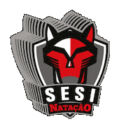 Sesispesporte Sticker by Sesi São Paulo