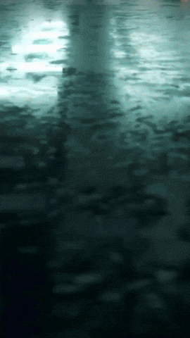 Polyphia GIF by Youtooz