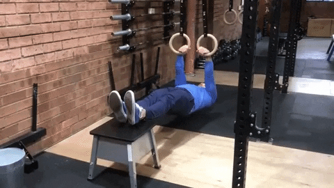 fitgeek giphygifmaker inverterd row GIF