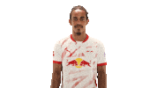 Come Rb Leipzig Sticker by Bundesliga