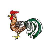 Rooster Chickens Sticker