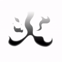 Chinese Fire GIF by TINGANHO