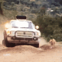 Watch Out Omg GIF by FIA World Rally Championship